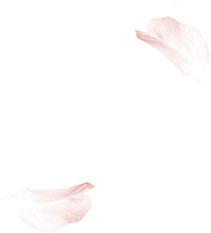  加藤ナナが魅せるQ-pot. | Nana Kato Vol.3