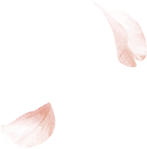  加藤ナナが魅せるQ-pot. | Nana Kato Vol.3